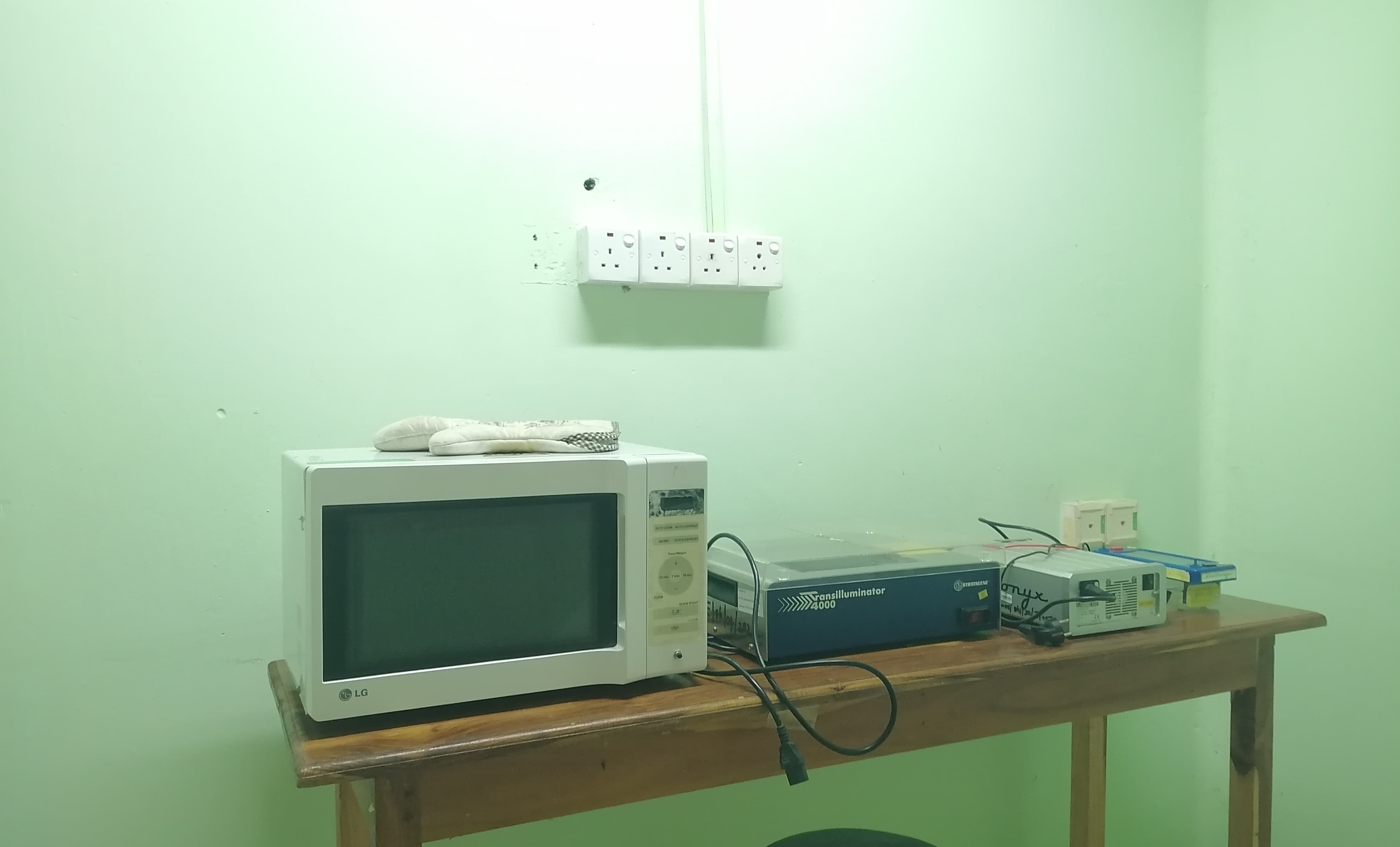 Molecular Laboratory
